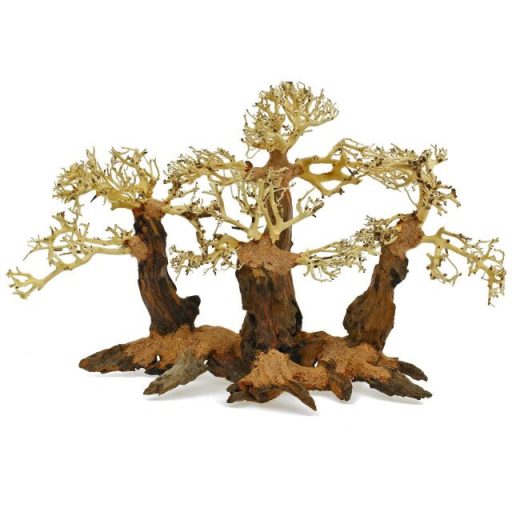 Forest-Bonsai fagyökér L - aquascaping