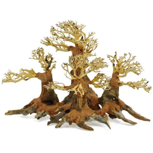 Forest-Bonsai fagyökér M - aquascaping
