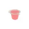 ProRep Jelly Pots zselés eleség hüllők és rovarok számára - Epres - 17g