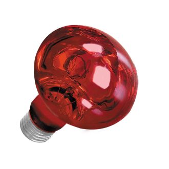   Repti-Zoo Infrared Heat infravörös terrárium izzó - 150W E27