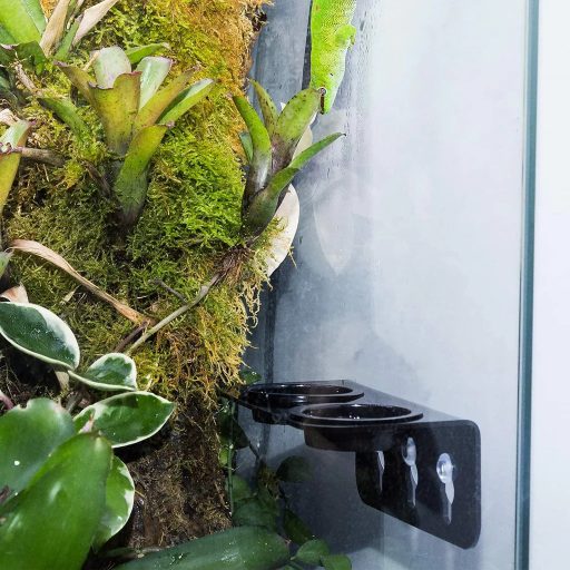 Repti-Zoo tapadókorongos etetőtálka lomblakó hüllőknek - dupla