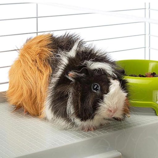 Ferplast Casita 80 - Törpenyúl és tengerimalac ketrec - 78x48x50cm