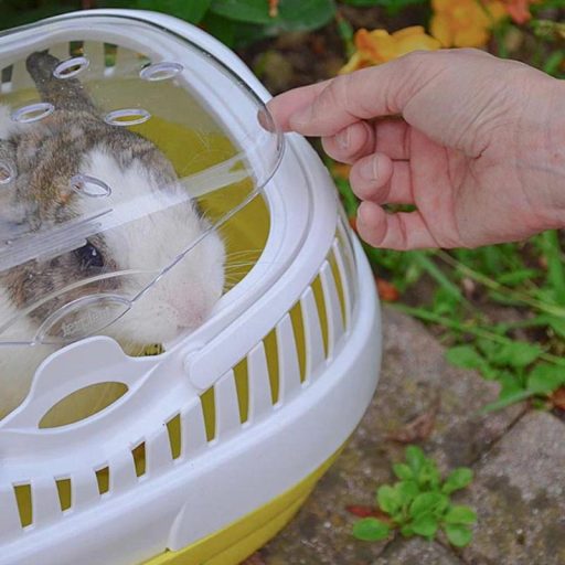 Ferplast Aladino Large - kisállat hordozó box - nagy