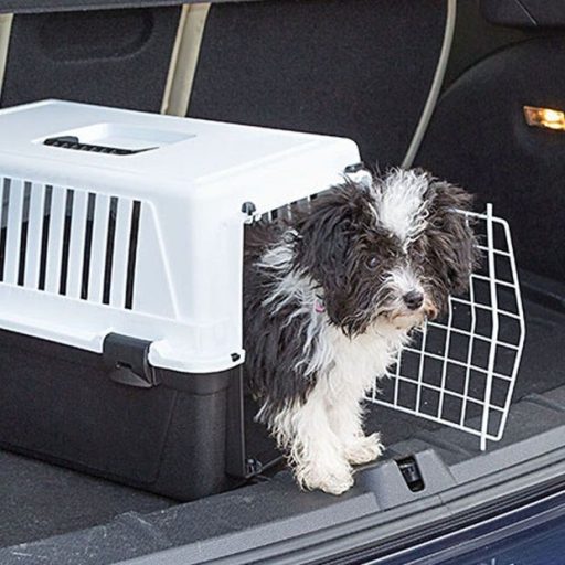 Ferplast Atlas 10 - kisállat szállító box - 48x32,5x29cm