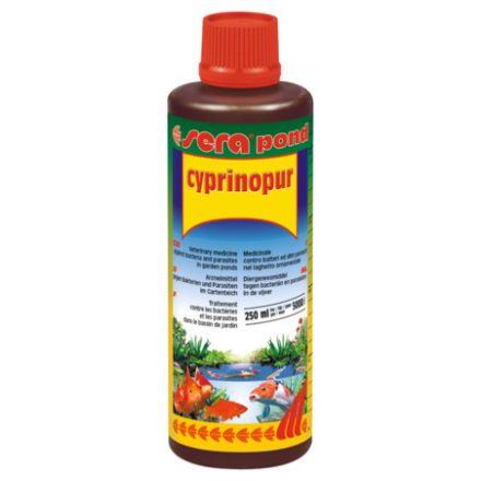 Sera Pond Cyprinopur gyógykészítmény kerti tavi halaknak - 250 ml