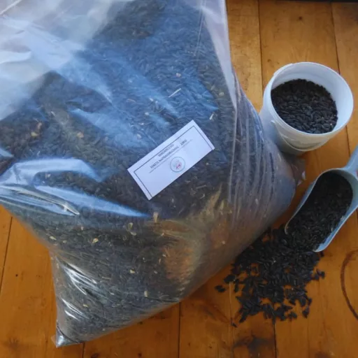 Fekete napraforgó 30kg - Madáreleség