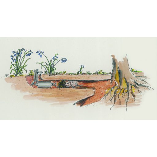 Kieferle üregi rágcsáló lövő készülék