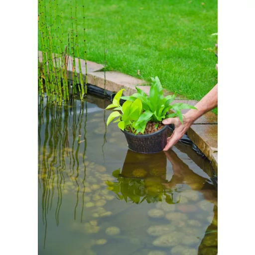 Ubbink vízinövénykosár - kerek 21cm