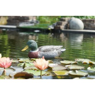   Ubbink Tőkés réce gácsér úszó - 41 cm élethű állatfigura