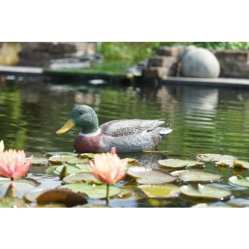 Ubbink Tőkés réce gácsér úszó - 41 cm élethű állatfigura