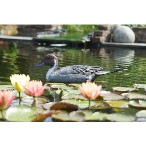 Ubbink Nyílfarkú réce gácsér úszó - 48 cm élethű állatfigura