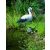 Ubbink Fehér gólya - 87cm élethű állatfigura