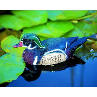   Ubbink Karolinai réce gácsér úszó - 30 cm élethű állatfigura