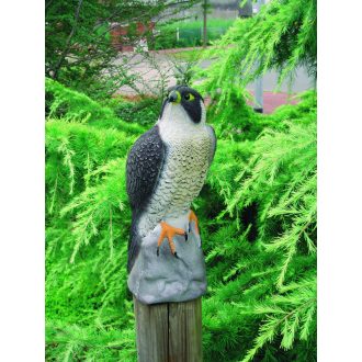 Ubbink Vándorsólyom - 40cm élethű állatfigura