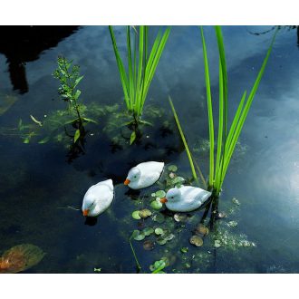   Ubbink Kiskacsa fehér úszó - 12,5 cm élethű állatfigura