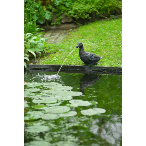 Ubbink Vízköpő kacsa - állatfigura