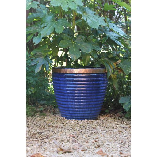 Csigariasztó szalag - 4mx30mm