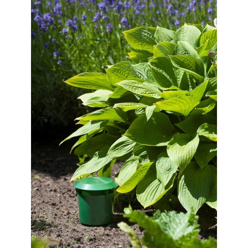 Csigacsapda - 2db/csomag