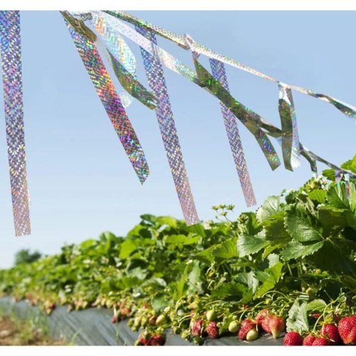 Madárriasztó szalag 50 méter