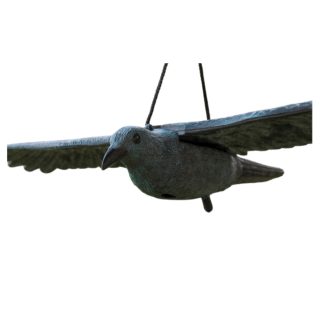   Varjú kitárt szárnnyal - patináns- 80cm élethű állatfigura