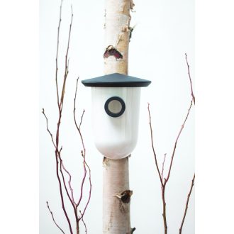 BreedR madárodú - 17,5x22,55x19,5cm - szürke