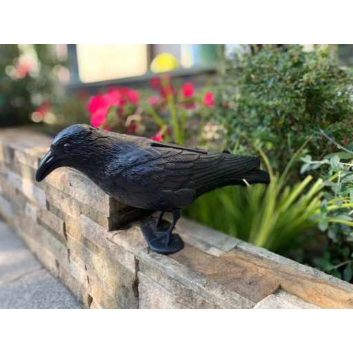 Varjú napelemes - 43cm élethű állatfigura