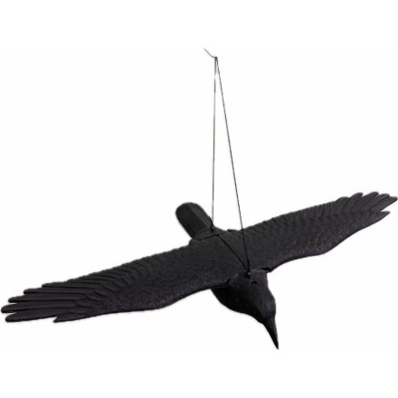 Varjú kitárt szárnnyal - 80cm élethű állatfigura