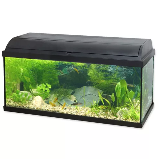 Cat-Gato Pacific akvárium szett 54l