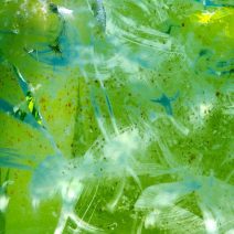 Alga megelőzés - algaölő szerek