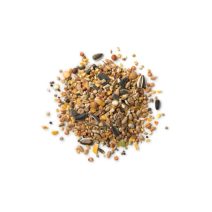 Trópusi pinty mageleség – főeleség