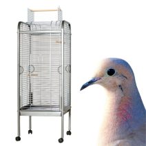 Díszgalamb és gerle kalitkák