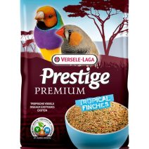 Trópusi pinty eleségek