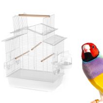 Trópusi pinty kalitkák