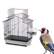 Európai pinty kalitkák