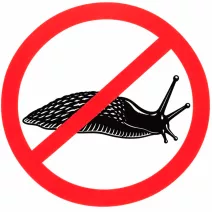 Csiga riasztók