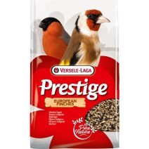 Európai pinty eleségek