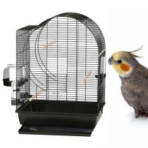 Nagypapagáj kalitkák