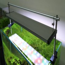 Akvárium világítás