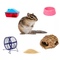 Mókus felszerelések és játékok