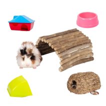 Tengerimalac felszerelések és játékok