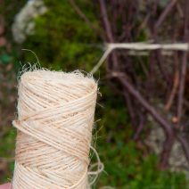 Növény kötözés - rögzítés