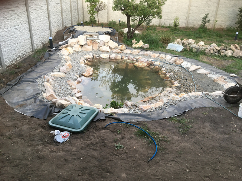 Kertito_meder_elso_feltoltese_1