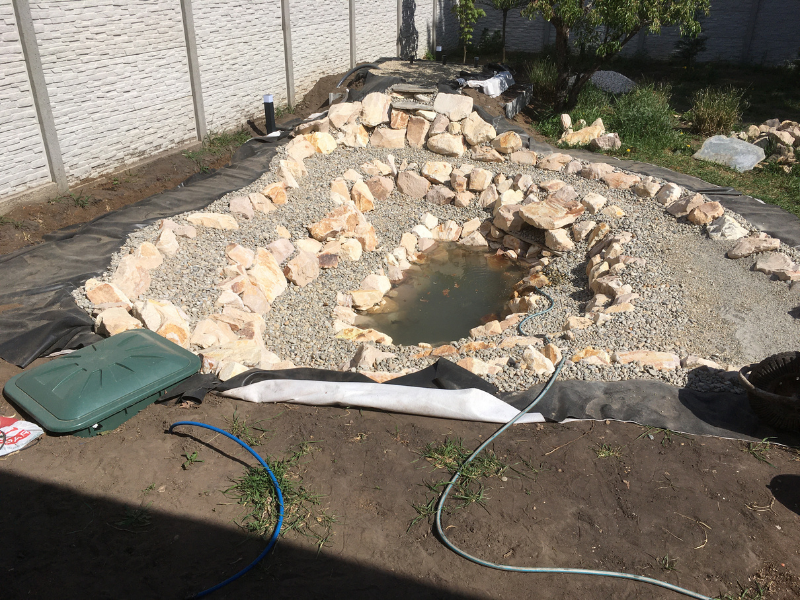 Kertito_meder_elso_feltoltese